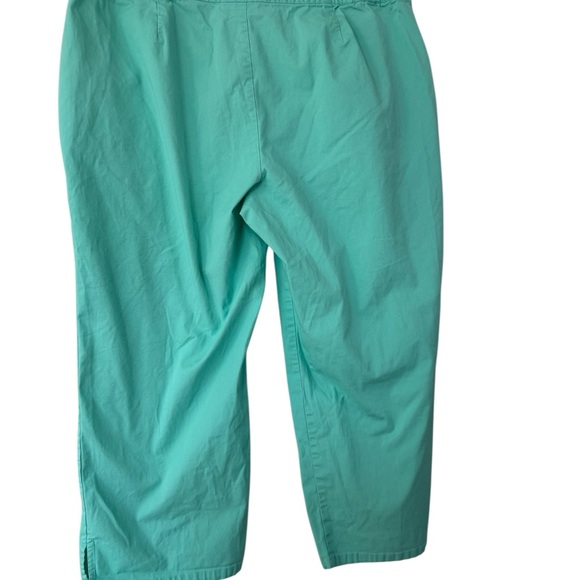 Sag Harbor Mint Green Pants size 18 - Picture 4 of 4